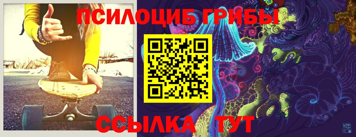 Псилоцибиновые грибы прущие грибы  Вход с VPN  закладка  Крымск 