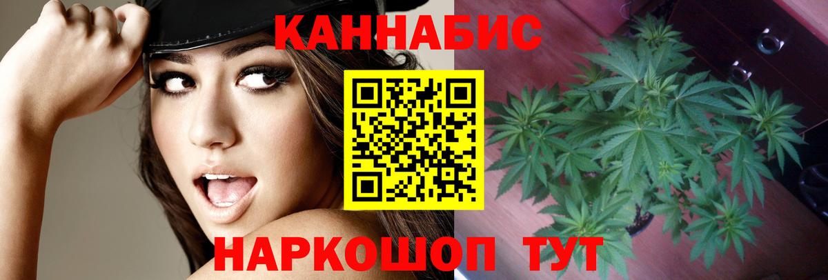 Шишки марихуана Bruce Banner Крымск
